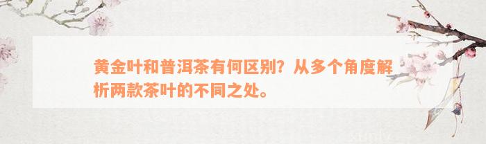 黄金叶和普洱茶有何区别？从多个角度解析两款茶叶的不同之处。