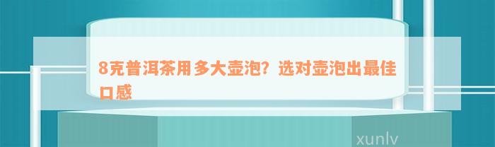 8克普洱茶用多大壶泡？选对壶泡出最佳口感