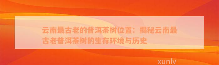 云南最古老的普洱茶树位置：揭秘云南最古老普洱茶树的生存环境与历史