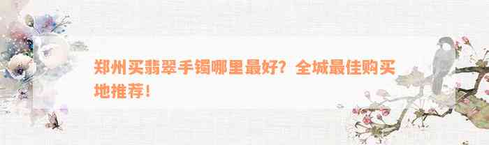 郑州买翡翠手镯哪里最好？全城最佳购买地推荐！