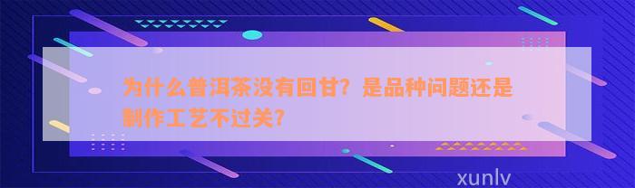 为什么普洱茶没有回甘？是品种问题还是制作工艺不过关？