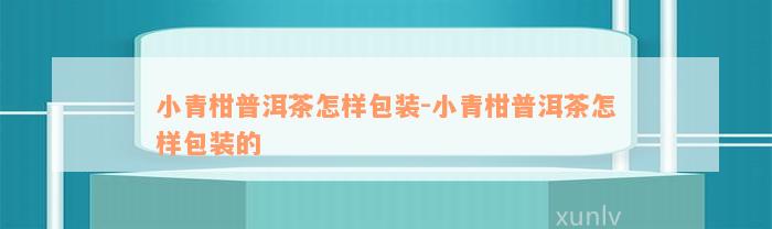 小青柑普洱茶怎样包装-小青柑普洱茶怎样包装的