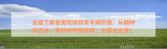 全面了解各类阳绿翡翠手镯价格：从糯种到正冰，再到冰种飘阳绿，全都在这里！