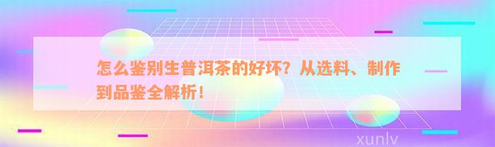 怎么鉴别生普洱茶的好坏？从选料、制作到品鉴全解析！