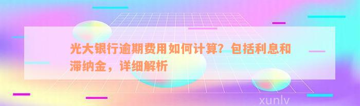 光大银行逾期费用如何计算？包括利息和滞纳金，详细解析