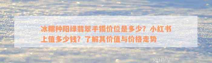 冰糯种阳绿翡翠手镯价位是多少？小红书上值多少钱？了解其价值与价格走势