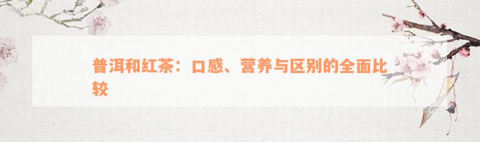 普洱和红茶：口感、营养与区别的全面比较