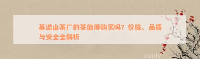 基诺山茶厂的茶值得购买吗？价格、品质与安全全解析