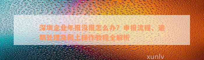 深圳企业年报没报怎么办？申报流程、逾期处理及网上操作教程全解析