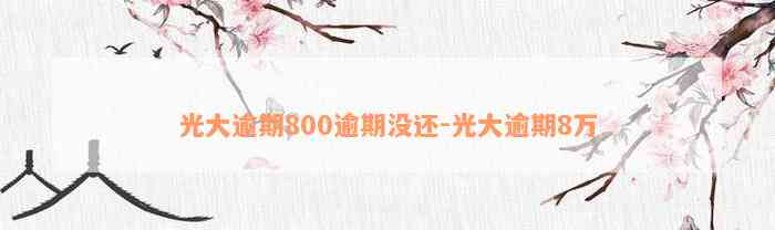 光大逾期800逾期没还-光大逾期8万