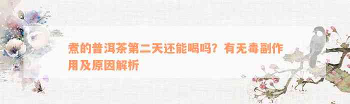 煮的普洱茶第二天还能喝吗？有无毒副作用及原因解析