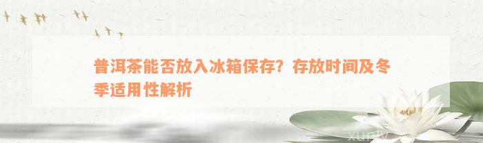 普洱茶能否放入冰箱保存？存放时间及冬季适用性解析