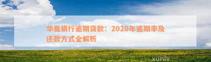 华夏银行逾期贷款：2020年逾期率及还款方式全解析