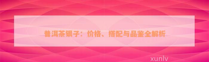 普洱茶银子：价格、搭配与品鉴全解析