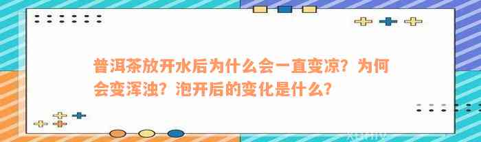 普洱茶放开水后为什么会一直变凉？为何会变浑浊？泡开后的变化是什么？