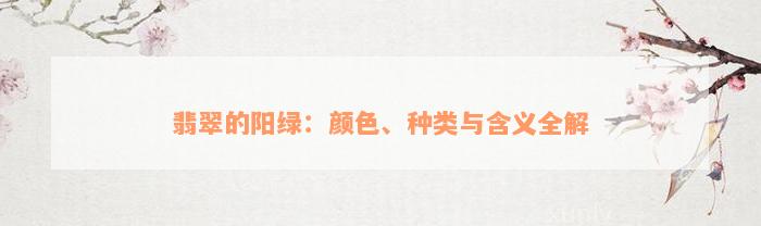 翡翠的阳绿：颜色、种类与含义全解