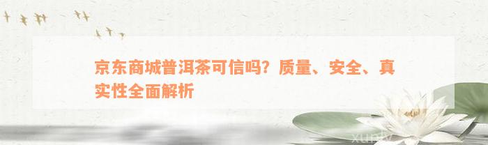 京东商城普洱茶可信吗？质量、安全、真实性全面解析