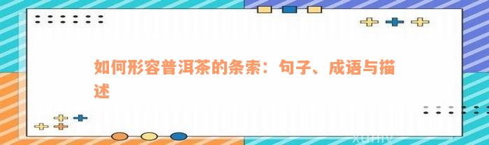 如何形容普洱茶的条索：句子、成语与描述