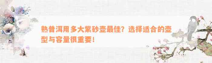 熟普洱用多大紫砂壶最佳？选择适合的壶型与容量很重要！