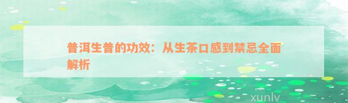 普洱生普的功效：从生茶口感到禁忌全面解析