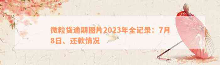 微粒贷逾期图片2023年全记录：7月8日、还款情况