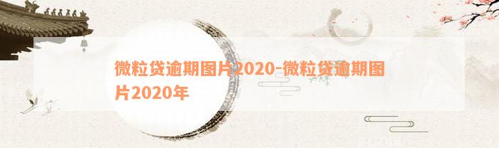 微粒贷逾期图片2020-微粒贷逾期图片2020年