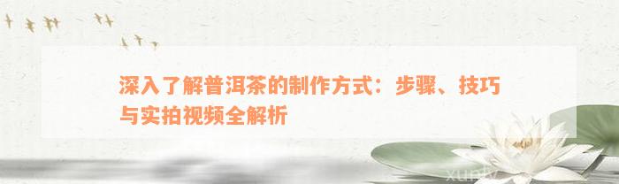 深入了解普洱茶的制作方式：步骤、技巧与实拍视频全解析