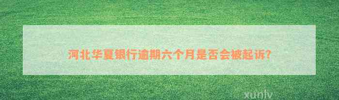 河北华夏银行逾期六个月是否会被起诉？