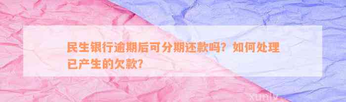 民生银行逾期后可分期还款吗？如何处理已产生的欠款？