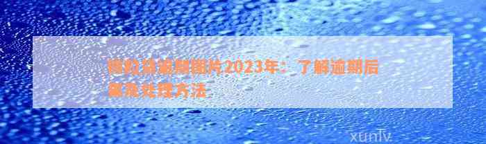 微粒贷逾期图片2023年：了解逾期后果及处理方法