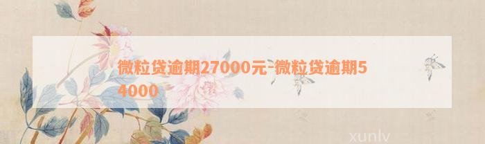 微粒贷逾期27000元-微粒贷逾期54000