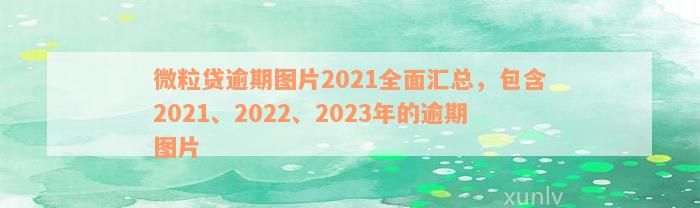 微粒贷逾期图片2021全面汇总，包含2021、2022、2023年的逾期图片