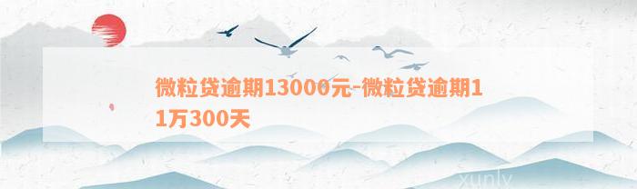 微粒贷逾期13000元-微粒贷逾期11万300天