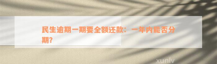 民生逾期一期要全额还款：一年内能否分期？