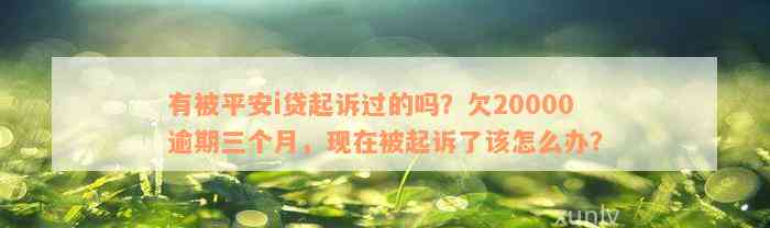 有被平安i贷起诉过的吗？欠20000逾期三个月，现在被起诉了该怎么办？