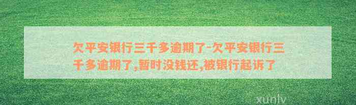 欠平安银行三千多逾期了-欠平安银行三千多逾期了,暂时没钱还,被银行起诉了