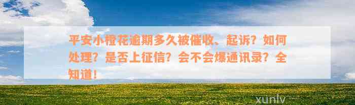 平安小橙花逾期多久被催收、起诉？如何处理？是否上征信？会不会爆通讯录？全知道！