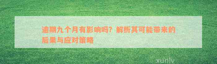 逾期九个月有影响吗？解析其可能带来的后果与应对策略