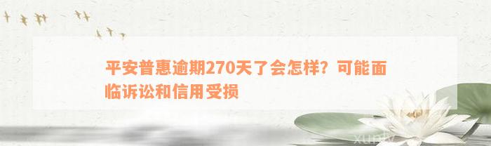 平安普惠逾期270天了会怎样？可能面临诉讼和信用受损