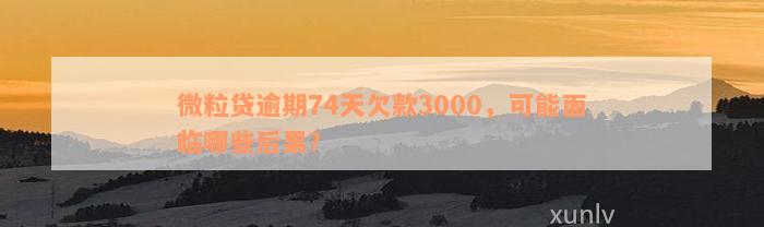 微粒贷逾期74天欠款3000，可能面临哪些后果？