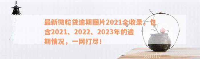 最新微粒贷逾期图片2021全收录，包含2021、2022、2023年的逾期情况，一网打尽！