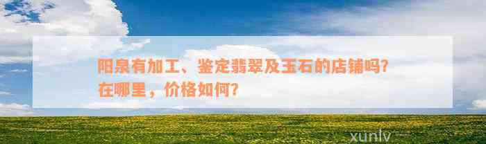 阳泉有加工、鉴定翡翠及玉石的店铺吗？在哪里，价格如何？