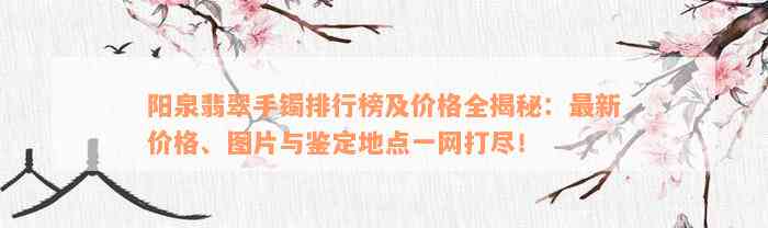 阳泉翡翠手镯排行榜及价格全揭秘：最新价格、图片与鉴定地点一网打尽！