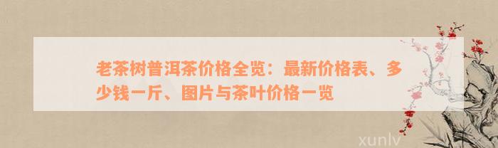 老茶树普洱茶价格全览：最新价格表、多少钱一斤、图片与茶叶价格一览