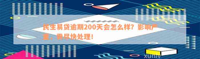 民生易贷逾期200天会怎么样？影响严重，需尽快处理！