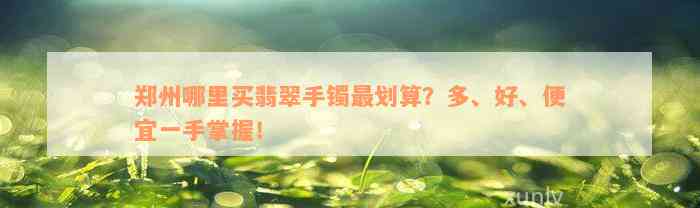 郑州哪里买翡翠手镯最划算？多、好、便宜一手掌握！