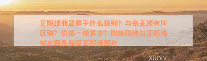 正阳绿翡翠属于什么级别？与帝王绿有何区别？价格一般多少？附辣阳绿与正阳绿对比图及翡翠正阳绿图片