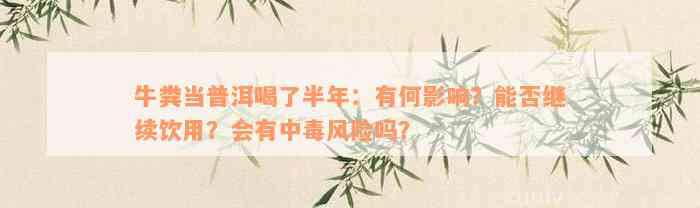 牛粪当普洱喝了半年：有何影响？能否继续饮用？会有中毒风险吗？