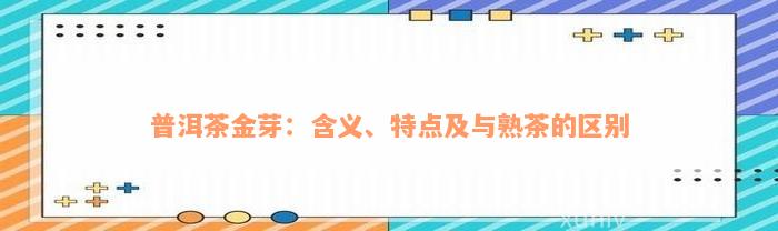 普洱茶金芽：含义、特点及与熟茶的区别