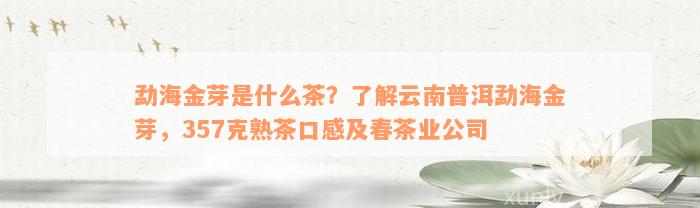 勐海金芽是什么茶？了解云南普洱勐海金芽，357克熟茶口感及春茶业公司